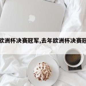 去年欧洲杯决赛冠军,去年欧洲杯决赛冠军阵容