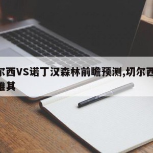 切尔西VS诺丁汉森林前瞻预测,切尔西vs诺维其