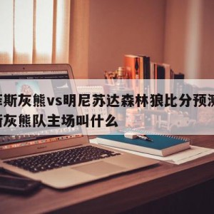 孟菲斯灰熊vs明尼苏达森林狼比分预测,孟菲斯灰熊队主场叫什么