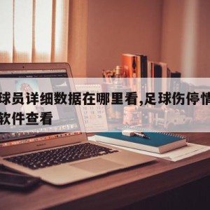 足球球员详细数据在哪里看,足球伤停情况用什么软件查看