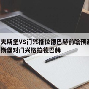 沃尔夫斯堡VS门兴格拉德巴赫前瞻预测,沃尔夫斯堡对门兴格拉德巴赫