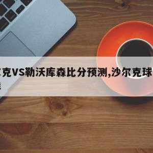 沙尔克VS勒沃库森比分预测,沙尔克球队怎么样