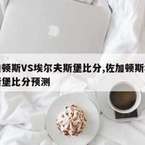 佐加顿斯VS埃尔夫斯堡比分,佐加顿斯埃尔夫斯堡比分预测