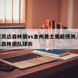 明尼苏达森林狼vs金州勇士赛前预测,明尼苏达森林狼队球衣