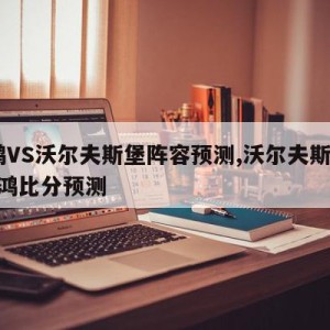 波鸿VS沃尔夫斯堡阵容预测,沃尔夫斯堡vs波鸿比分预测