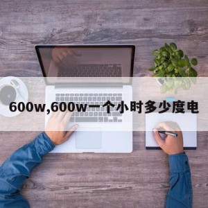 600w,600w一个小时多少度电