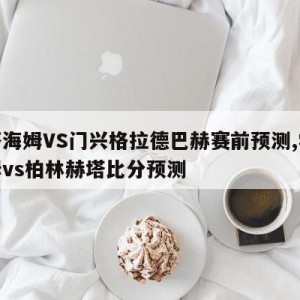 霍芬海姆VS门兴格拉德巴赫赛前预测,霍芬海姆vs柏林赫塔比分预测