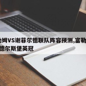 富勒姆VS谢菲尔德联队阵容预测,富勒姆vs米德尔斯堡英冠