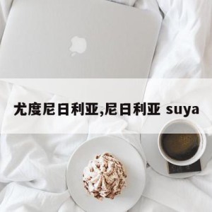 尤度尼日利亚,尼日利亚 suya