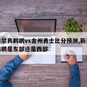 新奥尔良鹈鹕vs金州勇士比分预测,新奥尔良鹈鹕是东部还是西部