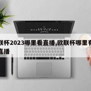 欧联杯2023哪里看直播,欧联杯哪里有视频直播