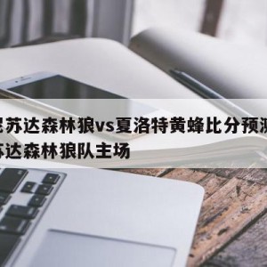 明尼苏达森林狼vs夏洛特黄蜂比分预测,明尼苏达森林狼队主场