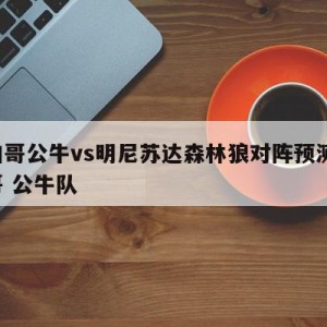 芝加哥公牛vs明尼苏达森林狼对阵预测,芝加哥 公牛队