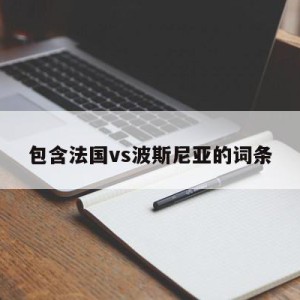 包含法国vs波斯尼亚的词条