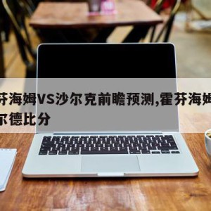 霍芬海姆VS沙尔克前瞻预测,霍芬海姆vs莫尔德比分