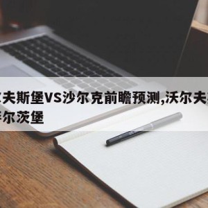 沃尔夫斯堡VS沙尔克前瞻预测,沃尔夫斯堡对萨尔茨堡