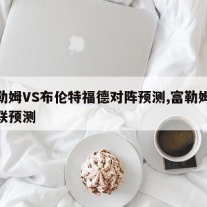 富勒姆VS布伦特福德对阵预测,富勒姆vs曼联预测