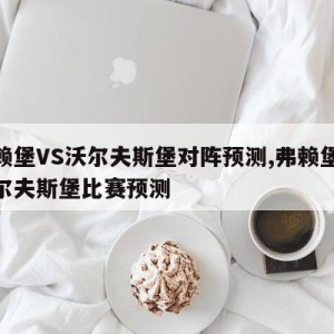 弗赖堡VS沃尔夫斯堡对阵预测,弗赖堡vs沃尔夫斯堡比赛预测