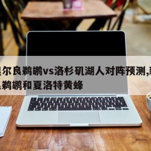 新奥尔良鹈鹕vs洛杉矶湖人对阵预测,新奥尔良鹈鹕和夏洛特黄蜂