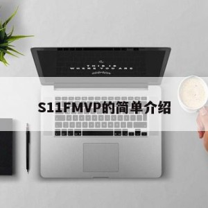 S11FMVP的简单介绍