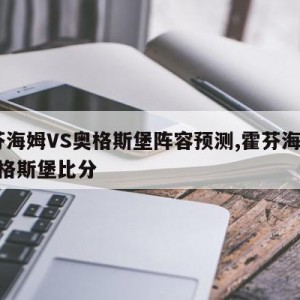 霍芬海姆VS奥格斯堡阵容预测,霍芬海姆vs奥格斯堡比分